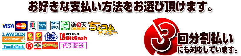 お好きな支払い方法をお選び頂けます。3回分割払いにも対応しています。