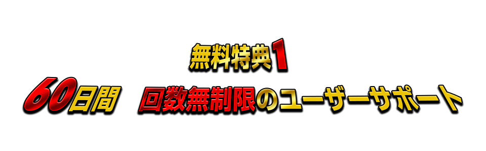 60日間　回数無制限のユーザーサポート